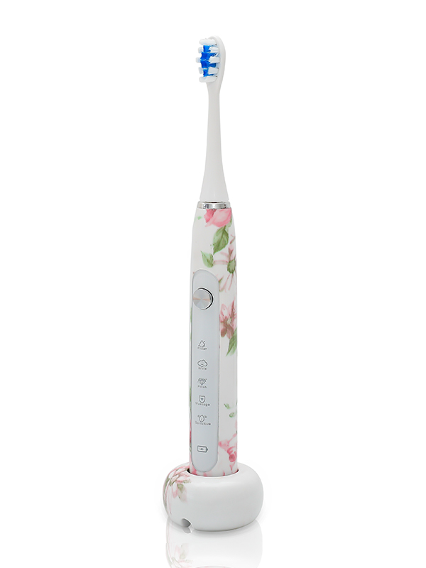 DY-613C soft bristle fully waterproof electric toothbrush