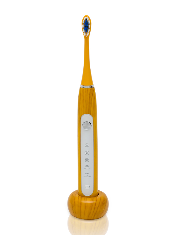 DY-613C soft bristle fully waterproof electric toothbrush