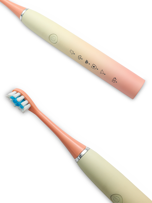 DY-601C Light Quality Sound Wave Adult Electric Toothbrush