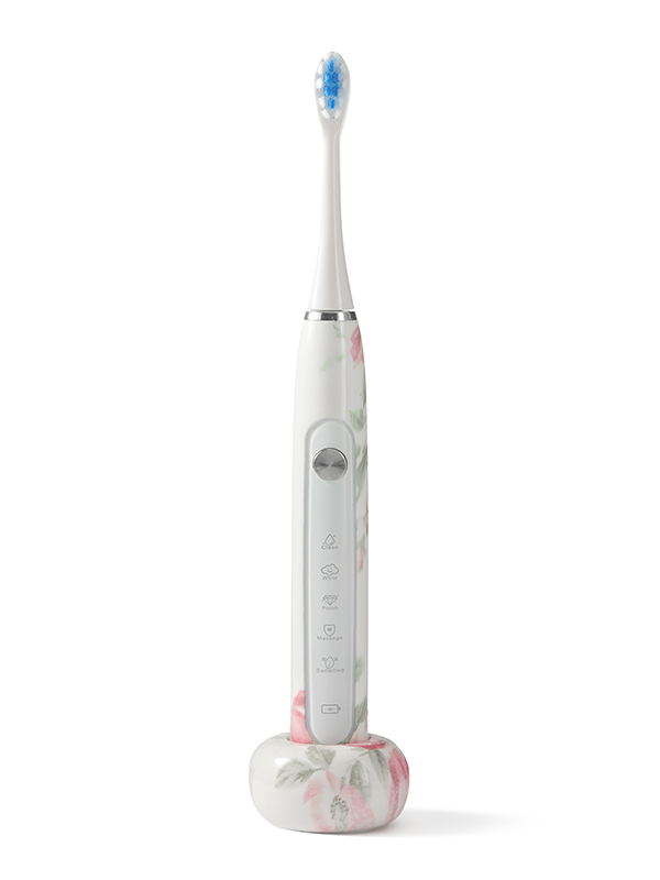 DY-613C soft bristle fully waterproof electric toothbrush