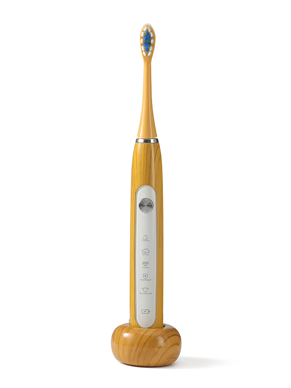 DY-613C soft bristle fully waterproof electric toothbrush