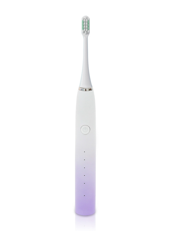 DY-601C IPX7 Waterproof Antibacterial Electric Toothbrush