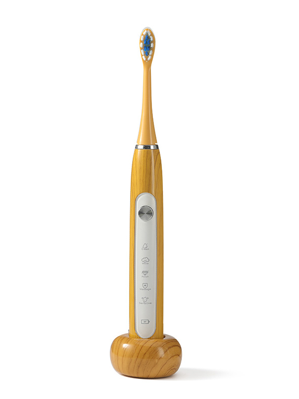 DY-613C soft bristle fully waterproof electric toothbrush