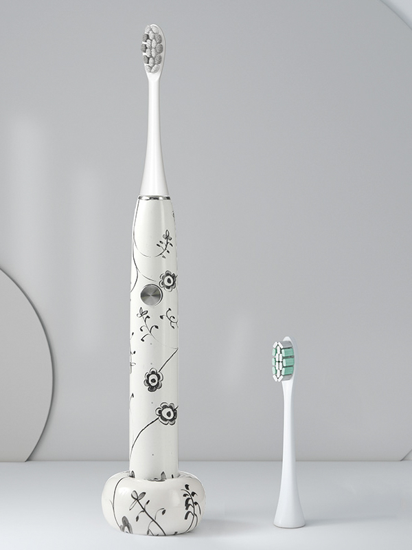 DY-613C soft bristle fully waterproof electric toothbrush